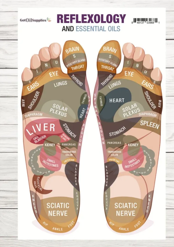 Reflexology resource card